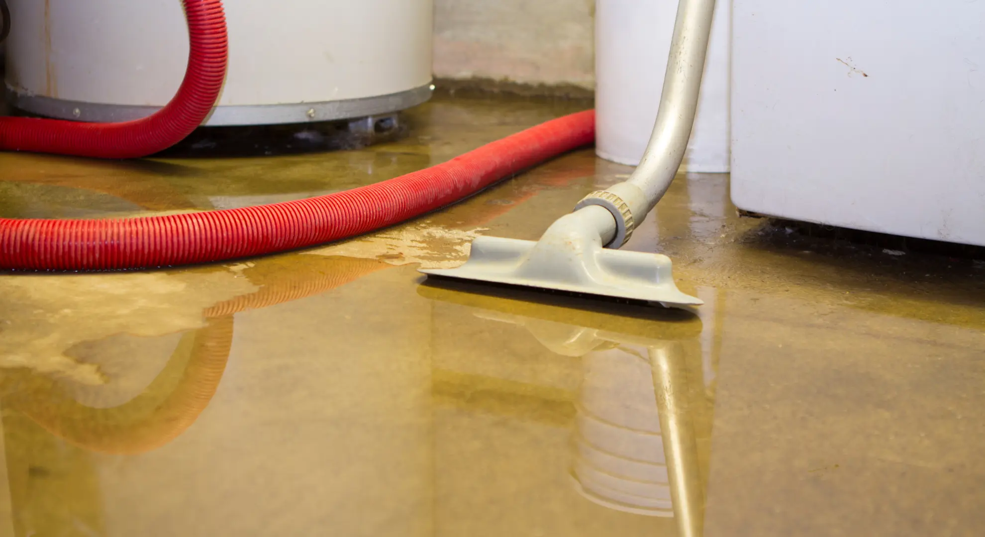 Professional water extraction in a Franklin basement